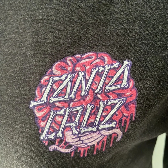 Santa Cruz skateboard destination hoodie sweatshirt size medium - Picture 2 of 8